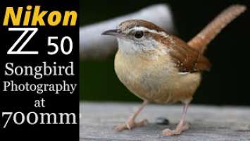 Nikon Z50 • Songbird Photography at 700mm