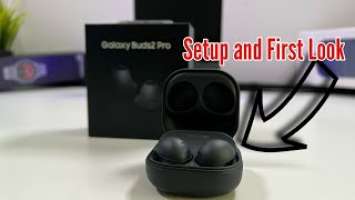 Samsung Galaxy Buds2 Pro | Setup And First Look |