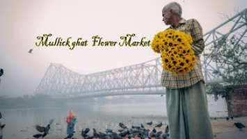 Nikon Z5 cinematic,Mullick ghat flower market by nikkor Z 28 MM F/2.8 Lens video test with nikon z5