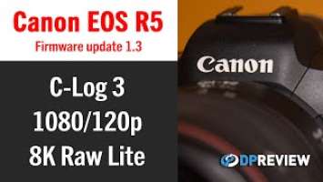 Canon EOS R5 v1.3 Firmware Review (C-Log 3, 1080/120p, 8K Raw Lite)