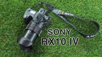 Тест Sony RX10 IV на футболе