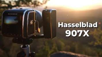 Hasselblad 907X: тестируем и сравниваем с Nikon D850