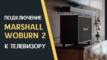 Подключение Marshall Woburn 2 к телевизору / How to connect Marshall Woburn 2 to your TV