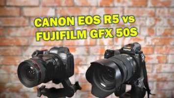 Canon R5 vs Fuji GFX 50S. Тест - полный кадр против среднего формата