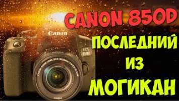 Canon 850D полный разбор от владельца. Зеркалка в 2022 году плюсы и минусы