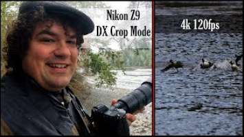 Nikon Z9 DX Crop Mode Slow Motion Video - a hidden super power for wildlife photography!