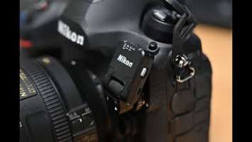 2021年4月11日　Nikon D6 のシャッターレスポンスを Z6Ⅱで実現する!?