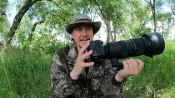 ОБЗОР Canon R5 спустя полгода видеосъёмок диких птиц