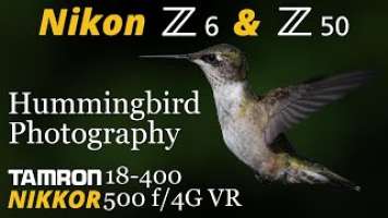 Nikon Z6 & Z50 • Hummingbird Photography with Tamron 18-400 & NIKKOR 500 f/4G VR