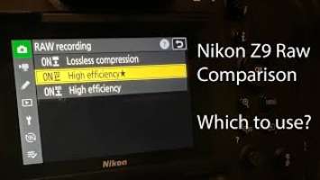 Nikon Z9 Raw: Which to Use? A look at the different compressions and comparisons