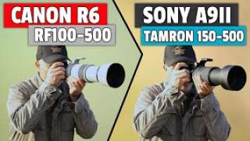 Canon R6 & RF100-500 Vs Sony A9ii & Tamron150-500 Head to Head!