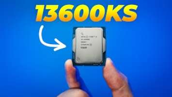 Intel i5 14600k Review for Creative Professionals: Video, Photo & 3D [13600k vs 14600k]