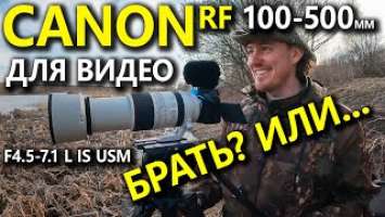 Видео на Canon RF 100-500mm F4.5-7.1 L IS USM с Canon R5