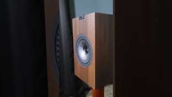Kef Q-350/Audiolab7000a driving the shxx out of 4-ohm speakers with Grace '7000a review coming soon!