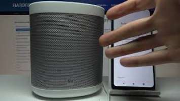 Как установить по умолчанию Xiaomi Mi Smart Speaker? / Xiaomi Mi Smart Speaker as Default