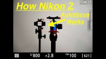 The Complete Autofocus Guide! Nikon Z6 Nikon Z7 Nikon Z5 Nikon Z50. Best Autofocus Settings.