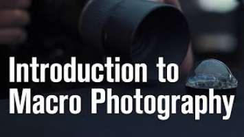 Godox: How to Shoot Macro Photography with #AD300Pro & #AD200Pro