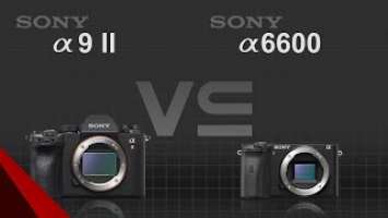 Sony alpha a9 II vs Sony alpha a6600