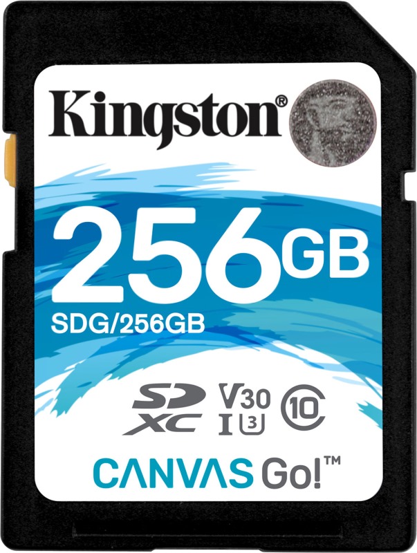 Kingston SD Canvas Go! 256 ГБ