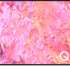 Samsung QE-55Q60C 55 & 75 "
