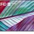 LG 50UR7800 50 & 75 "