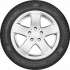 Gislaved Soft Frost 200 205/50 R17 93T