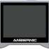 Anbernic RG353P