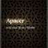 Apacer Panther AS340X AP240GAS340XC 240 ГБ