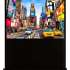 Экран Cactus FloorCompactExpert CS-PSFLCE-200X113,  200х113 см, 16:9,  напольный