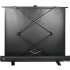 Экран Cactus FloorExpert CS-PSFLE-160X120,  160х120 см, 4:3,  напольный