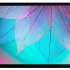 Экран Cactus FrameExpert CS-PSFRE-220X124,  220х124 см, 16:9,  настенный