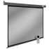 Экран Cactus SIlverMotoExpert CS-PSSME-280X175-DG,  280х175 см, 16:10,  настенно-потолочный темно-серый