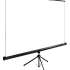 Экран Cactus TriExpert CS-PSTE-220x220-BK,  220х220 см, 1:1,  напольный черный