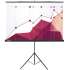 Экран Cactus Triscreen CS-PST-180x180,  180х180 см, 1:1,  напольный черный