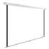 Экран Cactus WallExpert CS-PSWE-200x200-WT,  200х200 см, 1:1,  настенно-потолочный