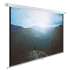Экран Cactus WallExpert CS-PSWE-240x240-WT,  240х240 см, 1:1,  настенно-потолочный