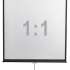 Экран  Digis Optimal-D DSOD-1105,  200х200 см, 1:1,  настенно-потолочный
