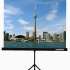 Экран Lumien Eco View LEV-100101,  150х150 см, 1:1,  напольный