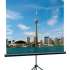Экран Lumien Eco View LEV-100101,  150х150 см, 1:1,  напольный
