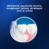 Электрическая зубная щетка Oral-B Vitality Pro 80368961, насадки для щётки: 2 шт, цвет: черный