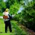 STIHL SR 420