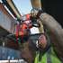 Milwaukee M18 FMDP-0C