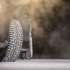 Nokian Nordman 7 225/55 R16 99T