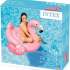 Intex 57558