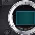 Canon EOS R5  body