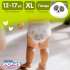 Joonies Comfort Pants XL / 38 pcs