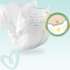 Pampers Premium Care 2 / 66 pcs