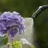 GARDENA Pressure Sprayer 5 l Plus 11138-20