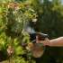 GARDENA Pump Sprayer 1 l 11112-20