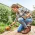 STIHL HSA 26 SET